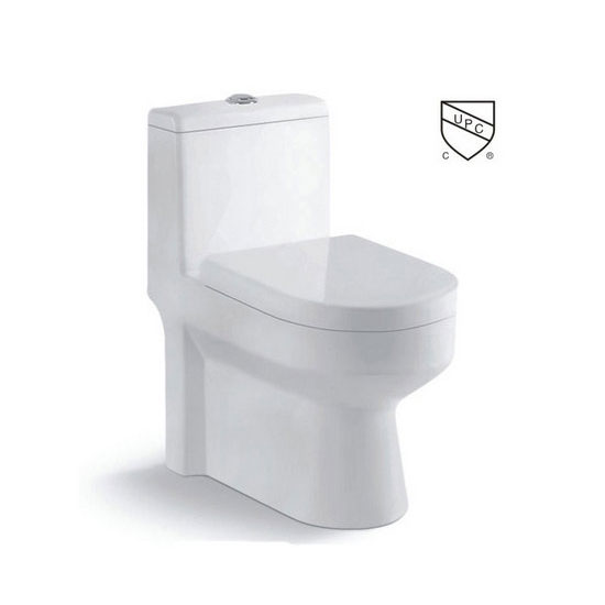Modern White Toilet Single Flush One-Piece